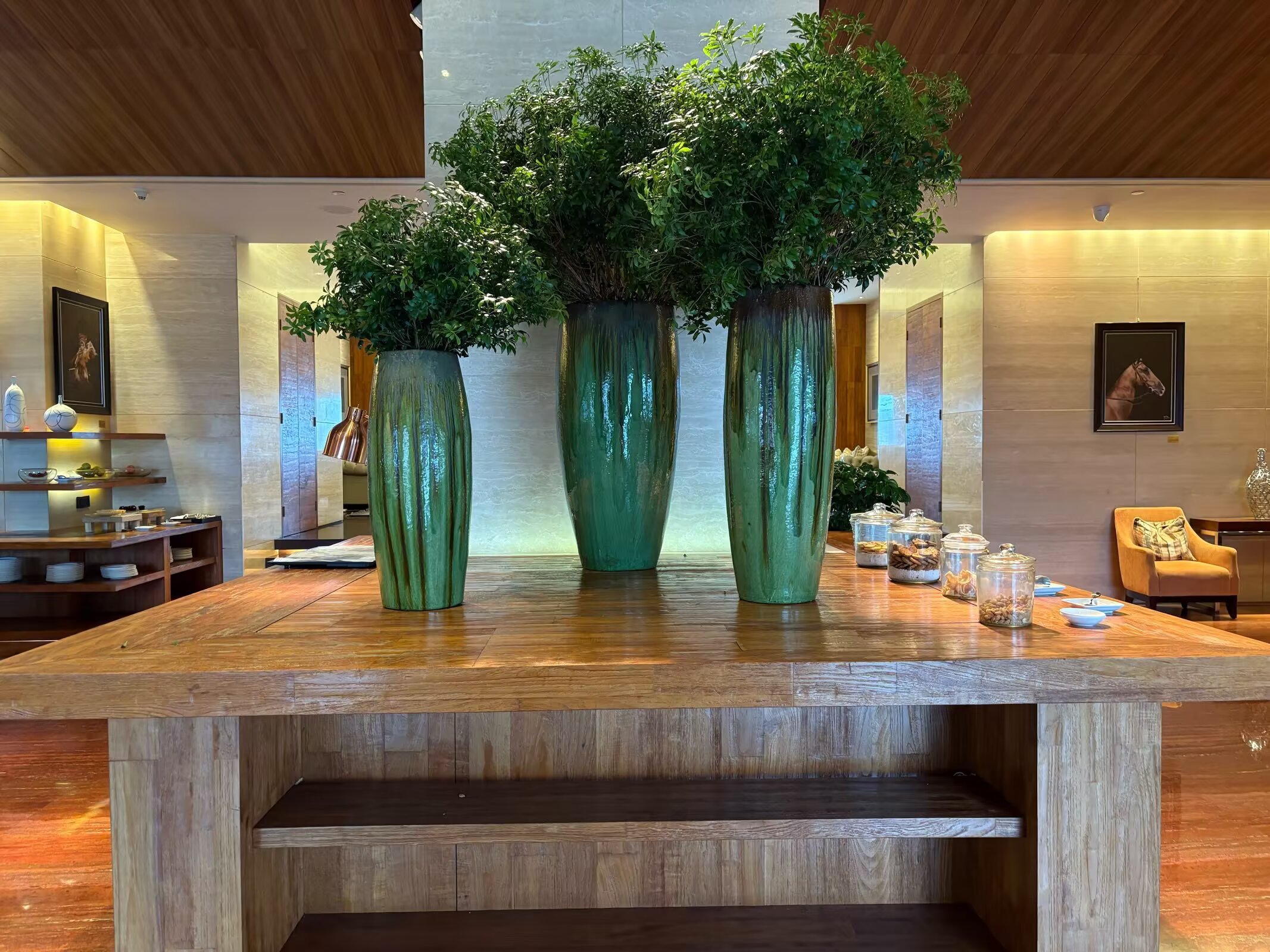 Ƶ̣ʱھáGrand Hyatt