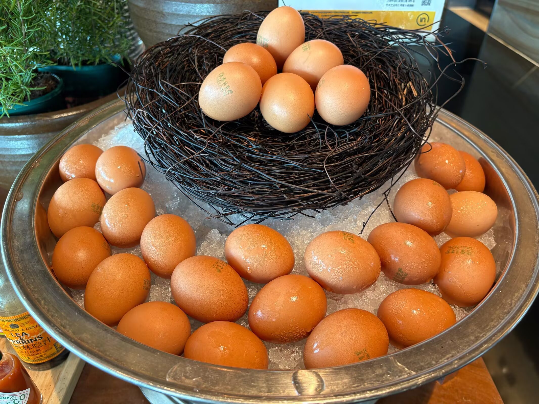 Ƶ̣ʱھáGrand Hyatt