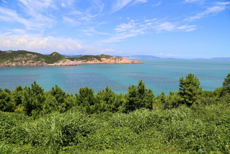 霞浦--大京 (3).JPG