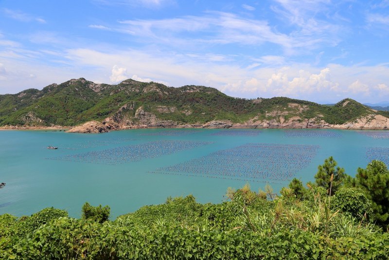 霞浦--大京 (5).JPG