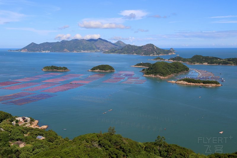 霞浦--花竹