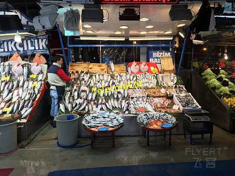 土耳其最佳旅行方式：budget租车自驾体验中东国家的风土人情