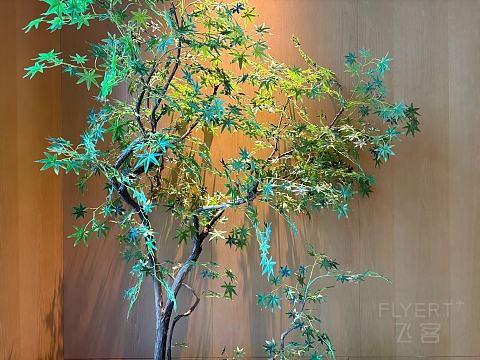 日式美学＆原木色系——成都怡心湖日航·Nikko二次体验