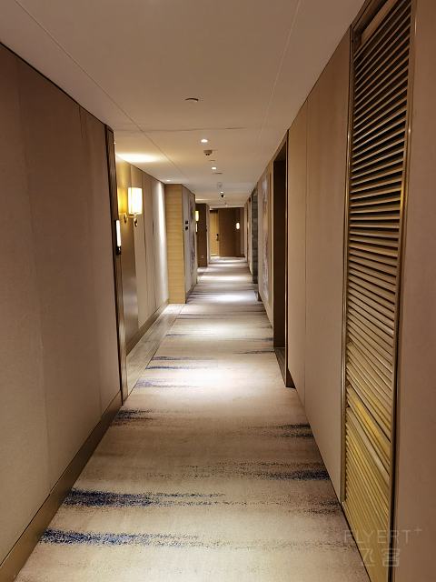 老城红顶，新湾霓虹｜青岛威斯汀酒店 | 单卧室精致套房入住体验