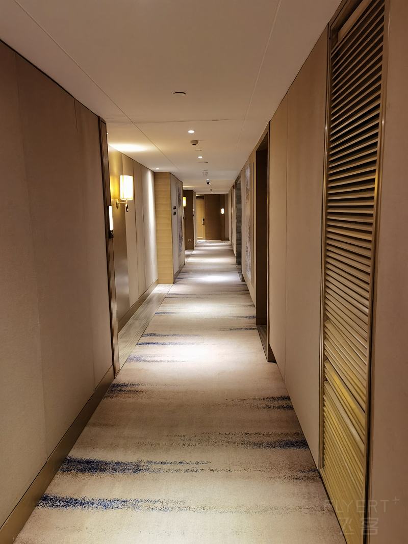 IMG_20240214_125525.jpg