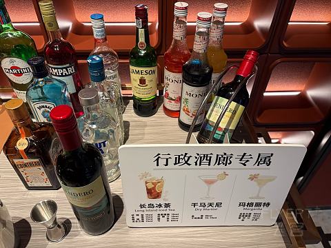 山城美学＆住享雅境——重庆科学会堂华邑·HUALUXE初体验