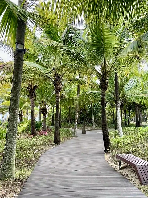 三亚海棠湾喜来登｜法式慵懒度假园林，性价比拉满的酒店