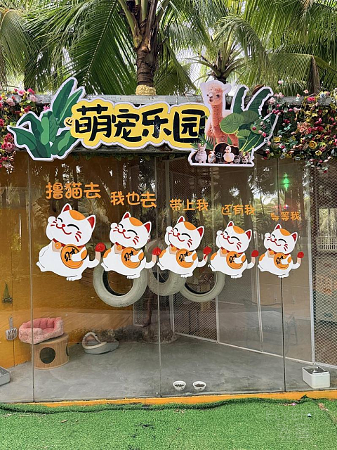 三亚海棠湾喜来登｜法式慵懒度假园林，性价比拉满的酒店