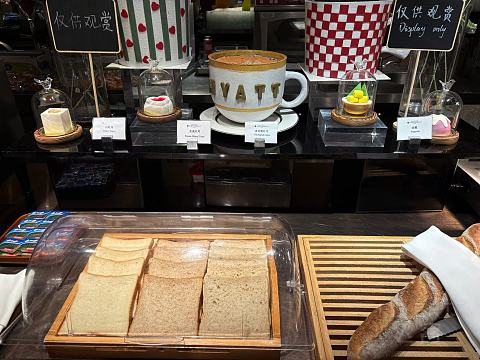 江北之心＆尽享繁华——重庆富力凯悦·Hyatt Regency三次体验