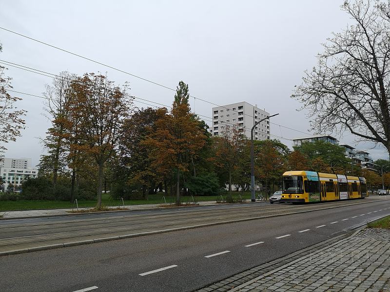 1 (145).jpg