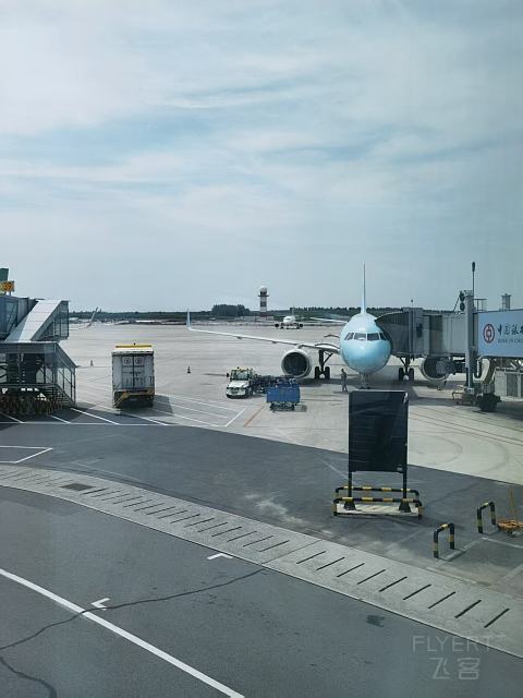 #踏秋而行#长龙航空GJ8103白山-哈尔滨A320经济舱体验