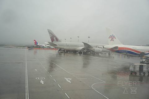 四川航空 加德满都 - 成都天府  A319经济舱简评