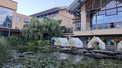 【滇池之畔，初秋拾光】昆明洲际家庭度假体验报告