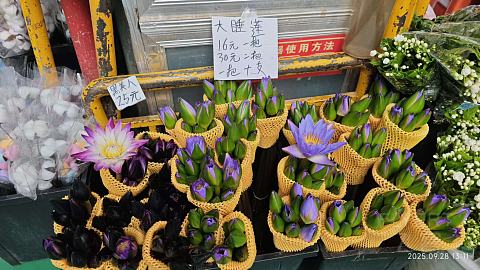 【滇池之畔，初秋拾光】昆明洲际家庭度假体验报告