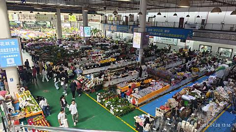 【滇池之畔，初秋拾光】昆明洲际家庭度假体验报告