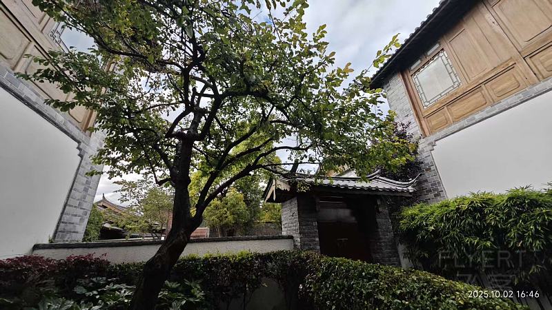 微信图片_20251008200518_176_146.jpg
