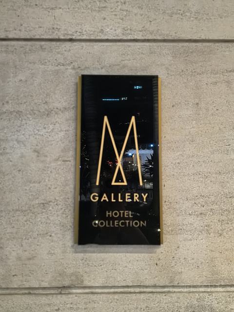 ʽ֮־㽸Ƶס Hôtel des Arts Saigon
