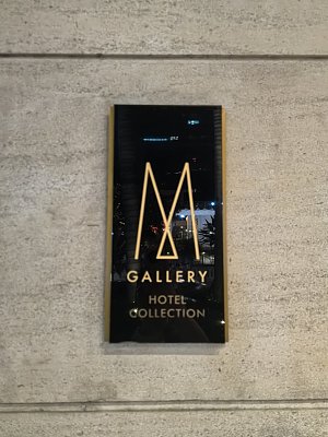 ʽ֮־㽸Ƶס Hôtel des Arts Saigon