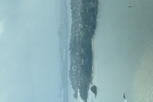 ſ¾ƵƵ򿨼ͼ190831գ
