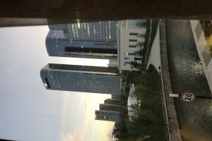 W ƵƵ򿨼ͼ190906գ
