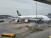新人贴，新加坡航空A380经济舱往返体验，HKG--SIN